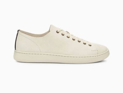 UGG Pismo Low Sneakers for Mens - White India